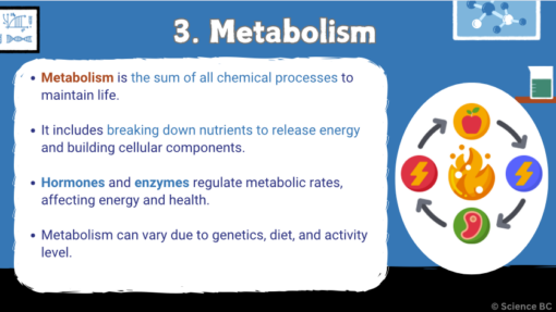 Chemical Processes: Practical Applications & Implications (1) - Image 4